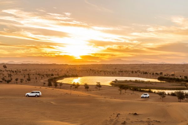 PLATINUM HERITAGE DESERT SAFARI - Image 8