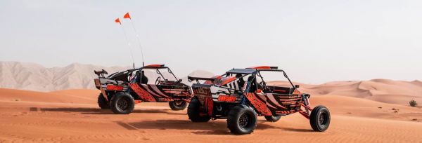 DUNE BUGGY & CAMEL TOUR - Image 6